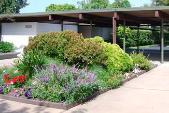 Greenmeadow Garden